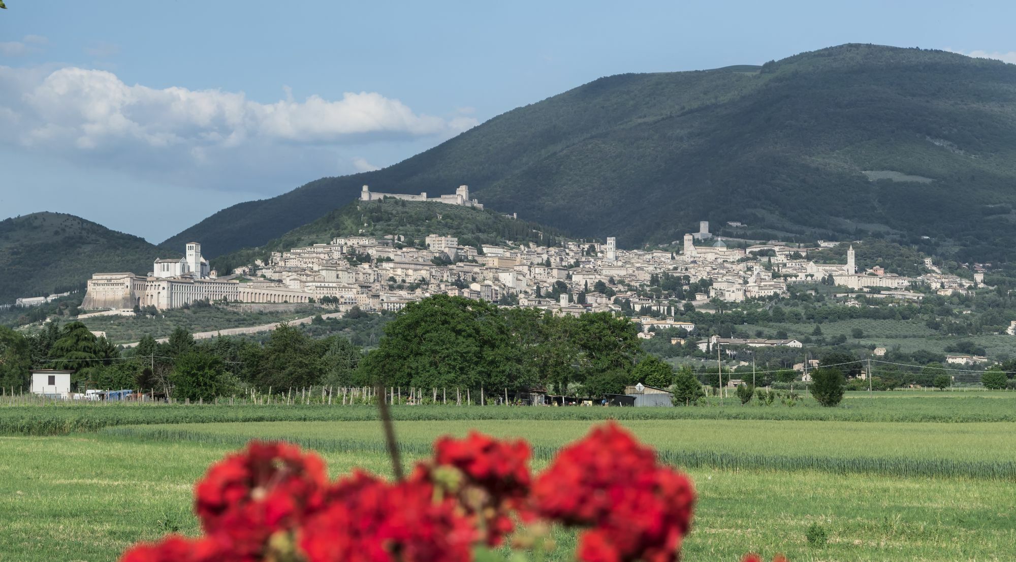 Camere Mariella Assisi Kültér fotó