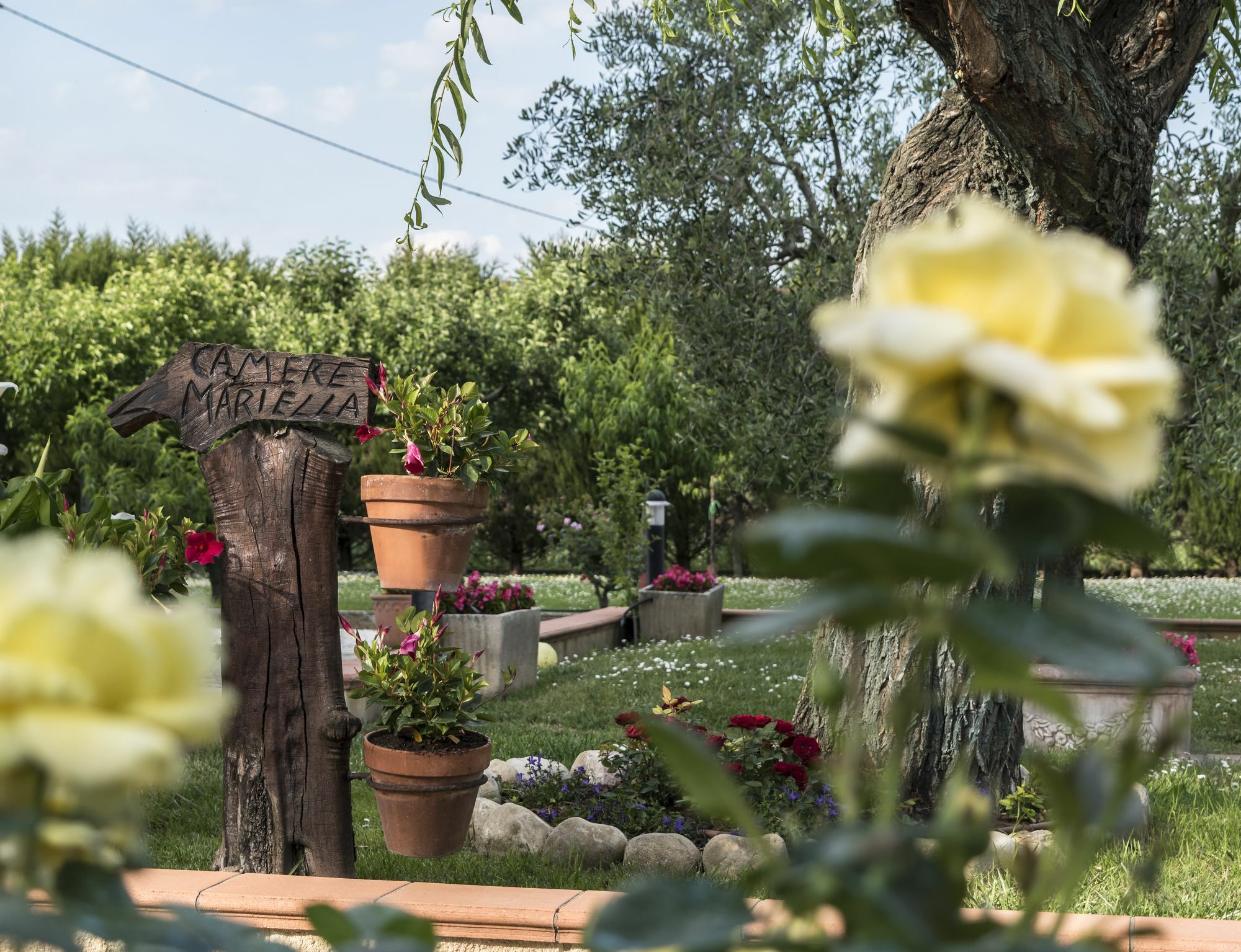 Camere Mariella Assisi Kültér fotó